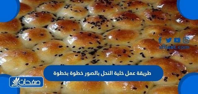 طريقة عمل خلية النحل بالصور خطوة بخطوة