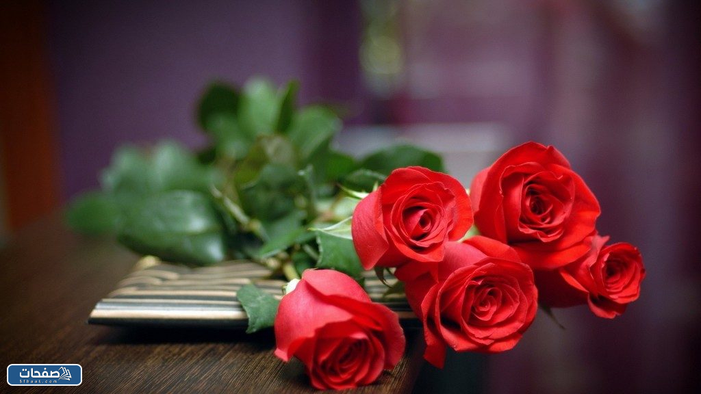 صور ورد احمر جوري وبوكيهات ورد