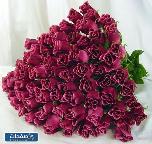 صور ورد احمر جوري وبوكيهات ورد