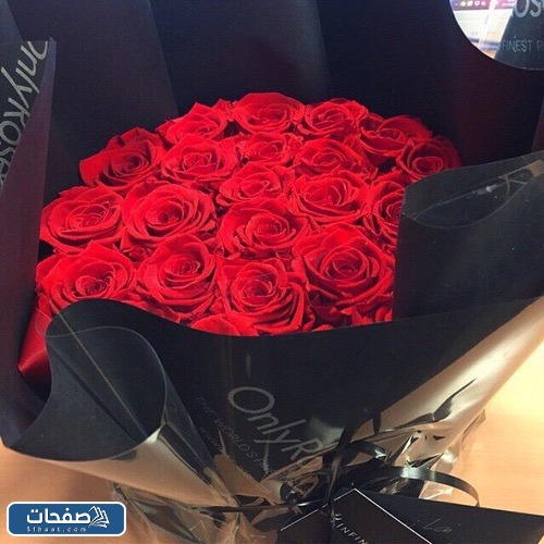صور ورد احمر جوري وبوكيهات ورد
