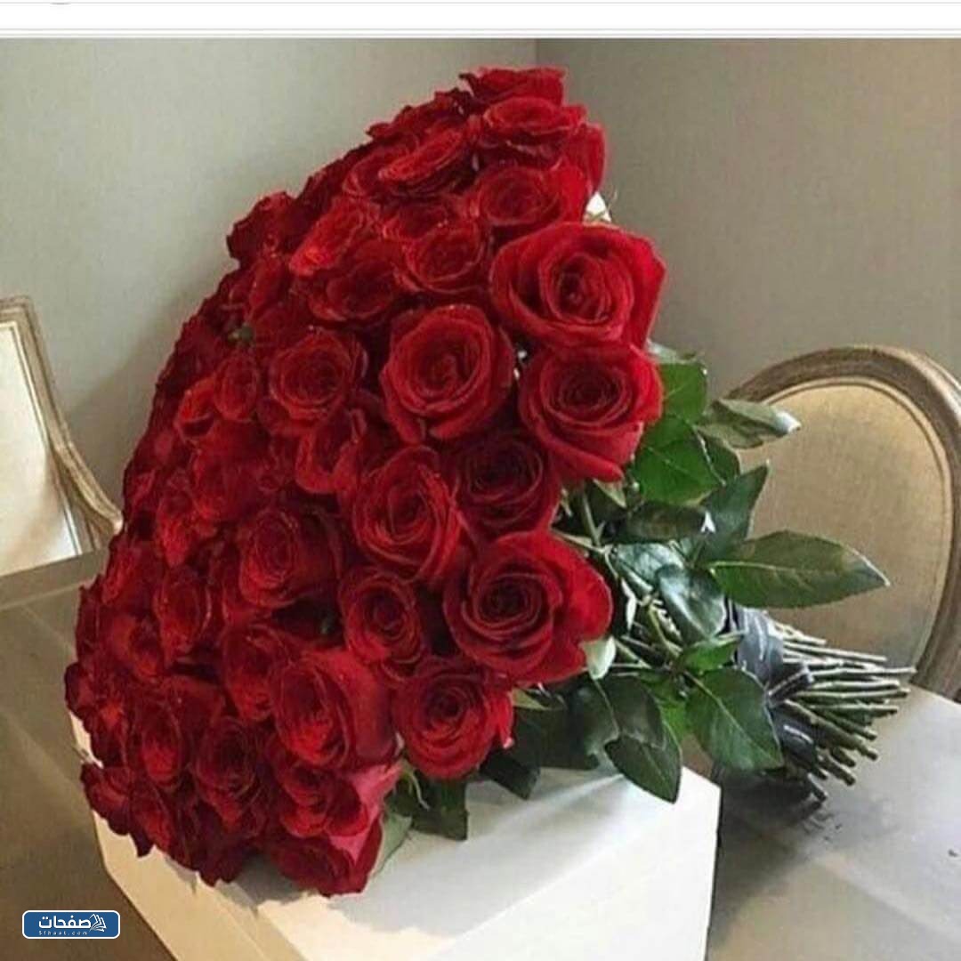 صور ورد احمر جوري وبوكيهات ورد
