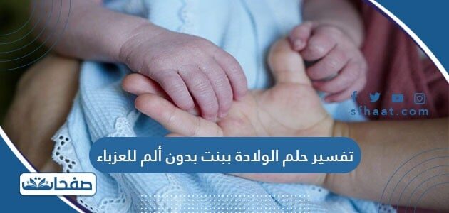 تفسير حلم القمل في الشعر وقتله