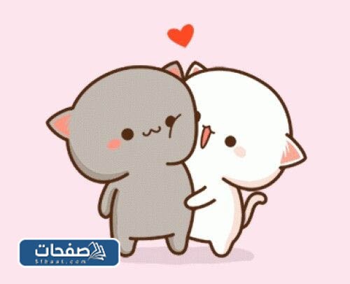 صور خلفيات كيوت للجوال جديدة ومتنوعة