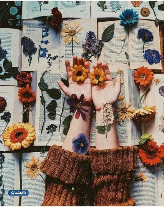 صور خلفيات كيوت للجوال جديدة ومتنوعة (7)