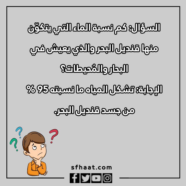 اسئلة عامة للاطفال عن الحيوانات بالصور