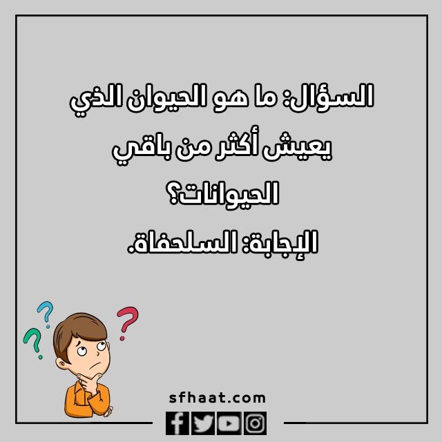 اسئلة عامة للاطفال عن الحيوانات بالصور