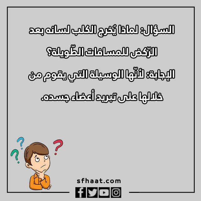 اسئلة عامة للاطفال عن الحيوانات بالصور