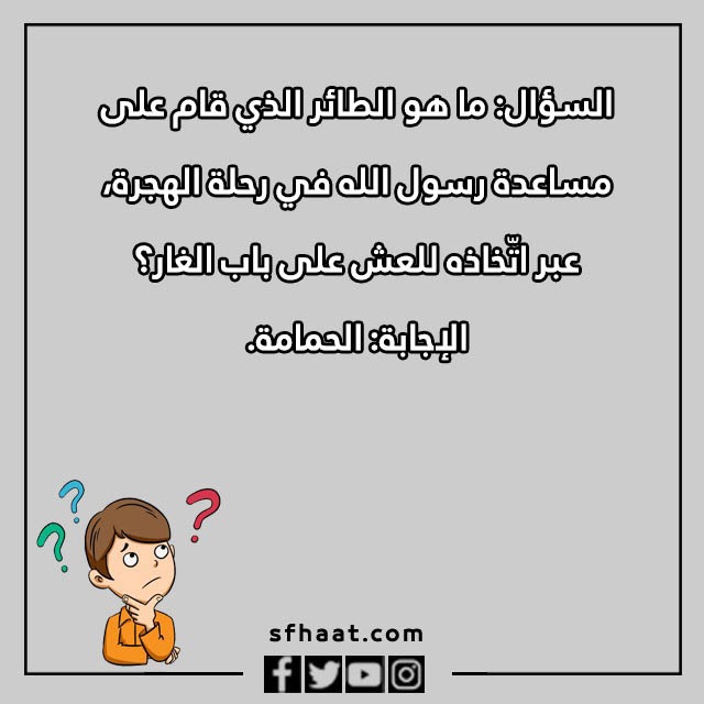 اسئلة واجوبة للاطفال عن الحيوانات بالصور