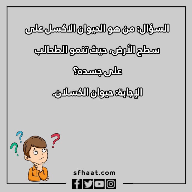 اسئلة عامة للاطفال عن الحيوانات بالصور