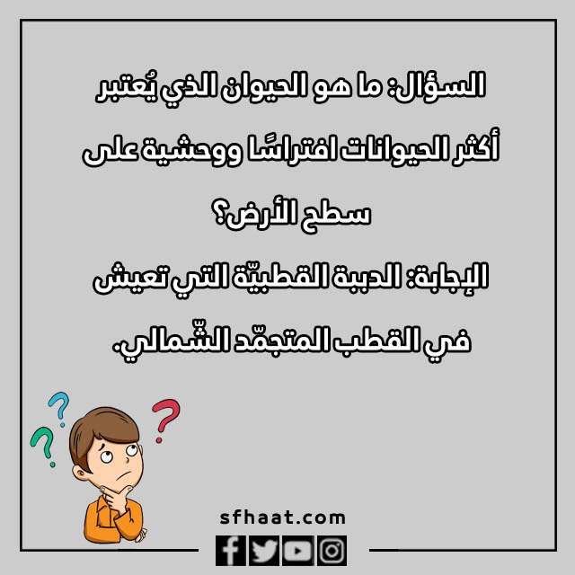 اسئلة واجوبة للاطفال عن الحيوانات بالصور