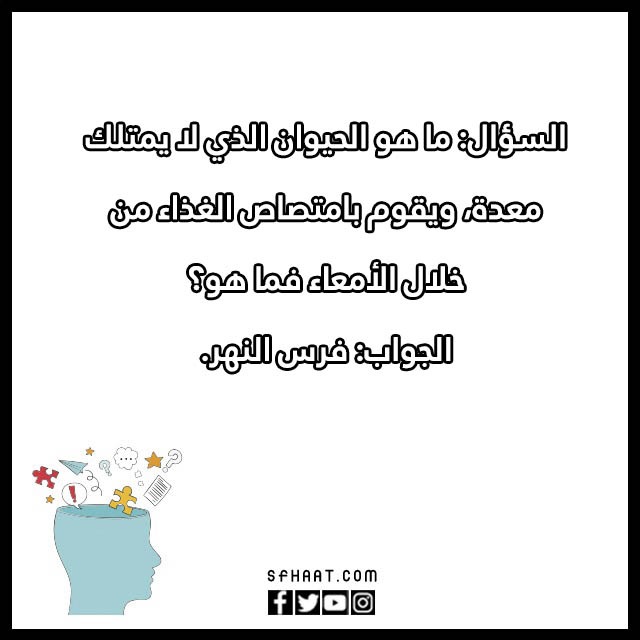 اسئلة ذكاء للموهوبين بالصور