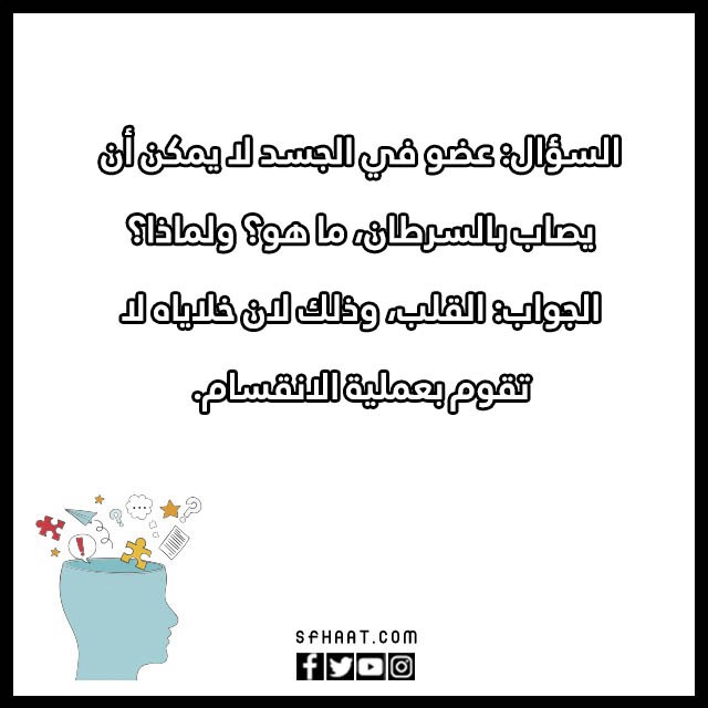 اسئلة ذكاء للموهوبين بالصور