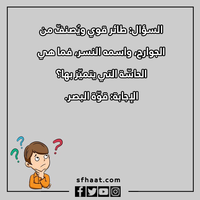 اسئلة عامة للاطفال بالصور