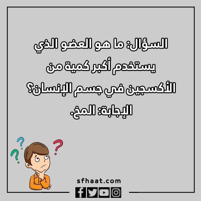 اسئلة مسابقات