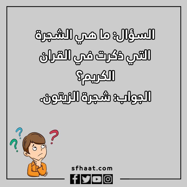 اسئلة عامة في الحاسب الالي