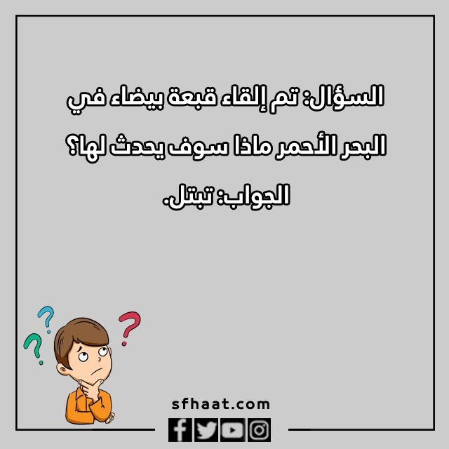 اسئلة عامة للاصدقاء بالصور