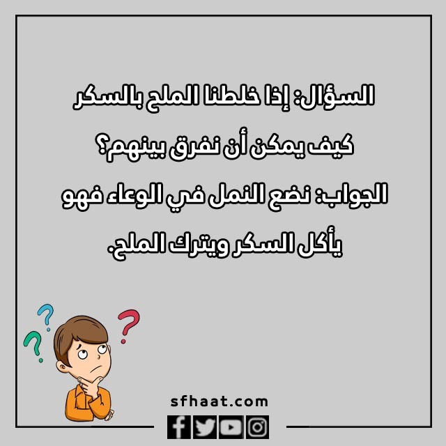 اسئلة مسابقات للاطفال الصغار بالصور