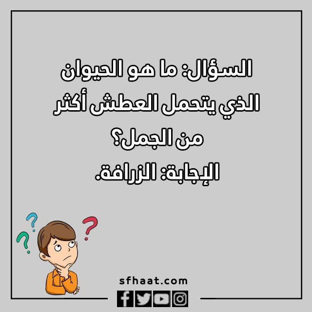 اسئلة مسابقات عامة بالصور