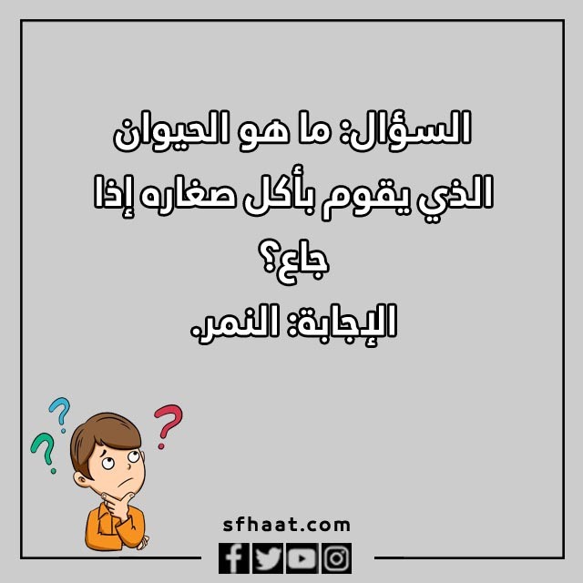 اسئلة مسابقات عامة بالصور