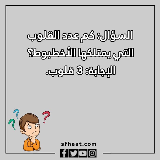 اسئلة مسابقات عامة بالصور