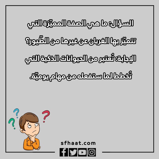 اسئلة عامة للاطفال عن الحيوانات بالصور