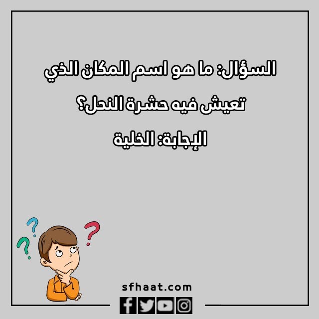 اسئلة عامة للاطفال عن الحيوانات بالصور