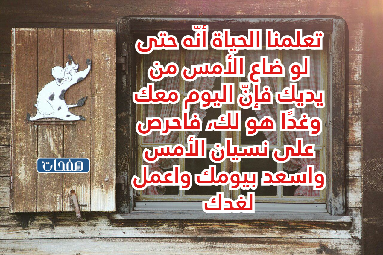 خواطر جميلة وراقية عن الحياة بالصور