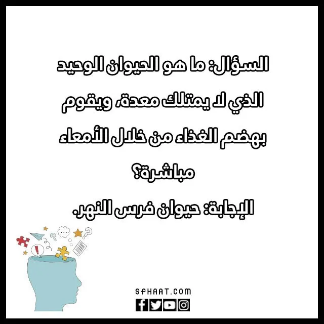 الغاز صعبة وحلولها بالصور