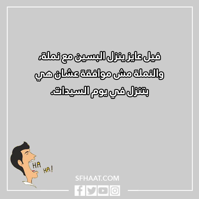 نكت نمل وفيل مضحكة بالصور