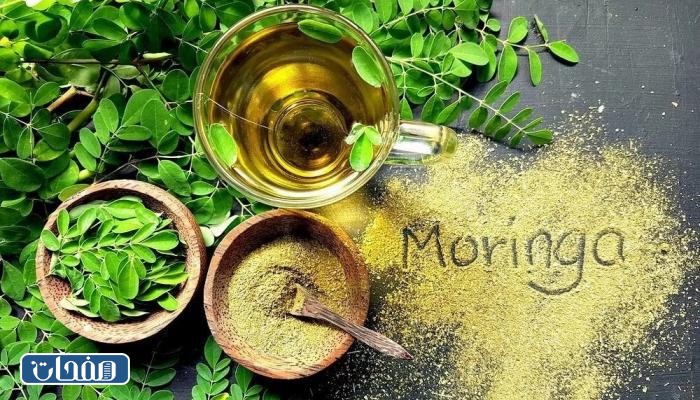 أضرار المورينجا جابر القحطاني