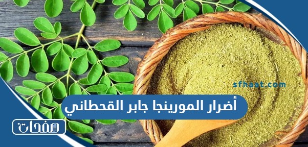 أضرار المورينجا جابر القحطاني