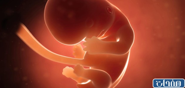 زيادة جمال البشرة في الحمل بولد