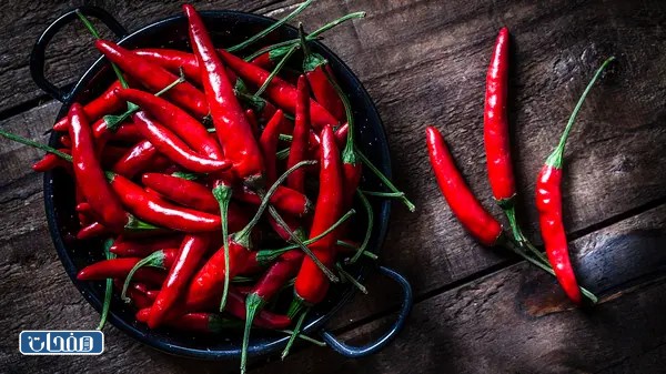 الفلفل الحار للشعر جابر القحطاني