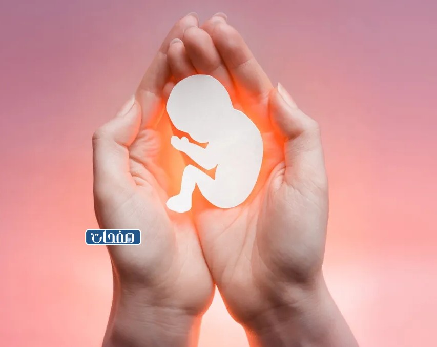 تجارب الحمل بعد الإجهاض مباشرة