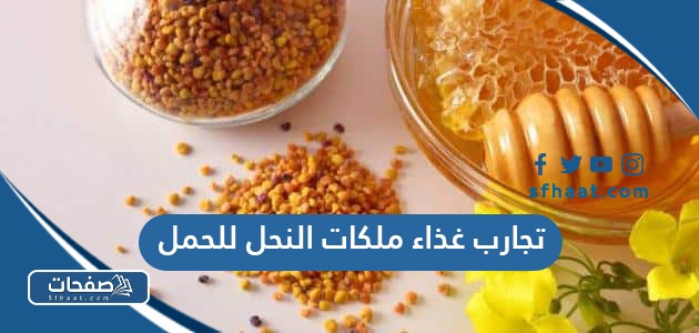 تجارب غذاء ملكات النحل للحمل