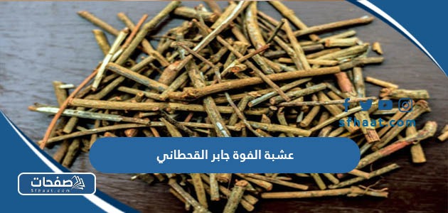عشبة الفوة جابر القحطاني