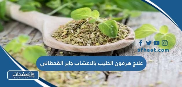 علاج هرمون الحليب بالاعشاب جابر القحطاني