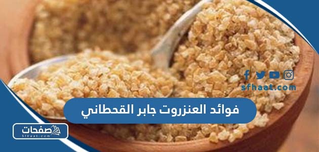 فوائد العنزروت جابر القحطاني