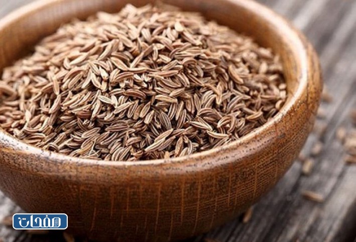 فوائد النانخة جابر القحطاني