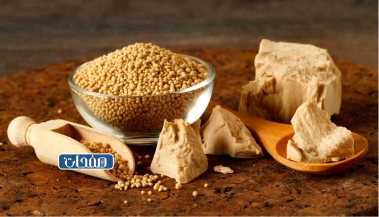 فوائد حبوب الخميرة