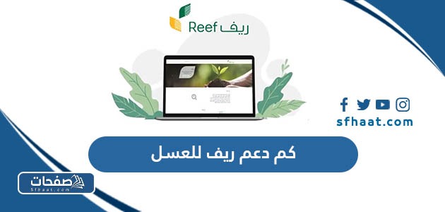 كم دعم ريف للعسل في السعودية 1447