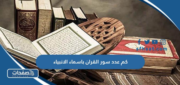 كم عدد سور القران باسماء الأنبياء