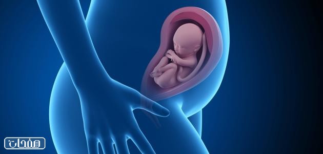 كيف اعرف اني حامل بدون تحليل