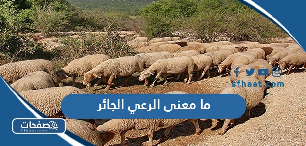 ما معنى الرعي الجائر