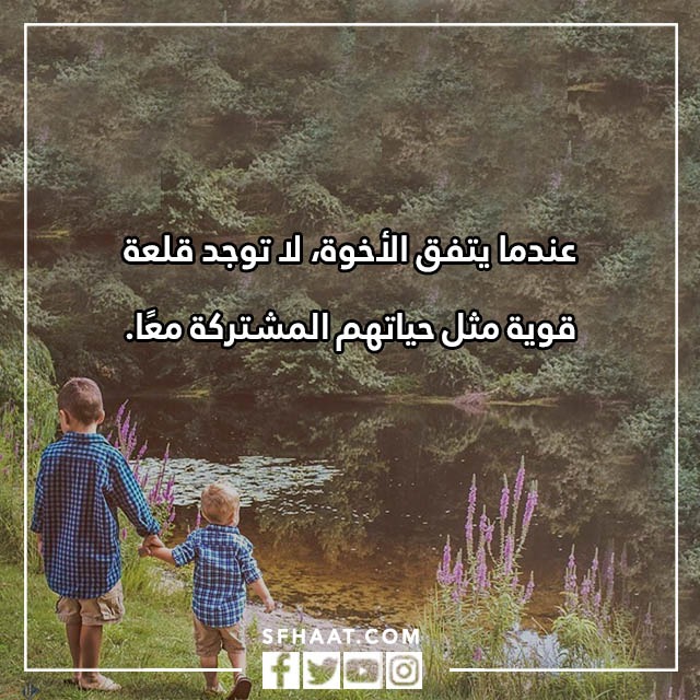 احلى كلام عن الاخ تويتر بالصور