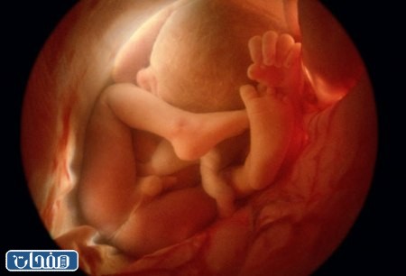 التجربة الثانية مع اكتشاف الحمل    