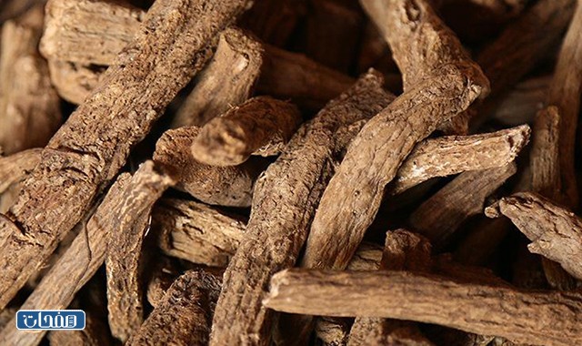 القسط الهندي للغدة جابر القحطاني