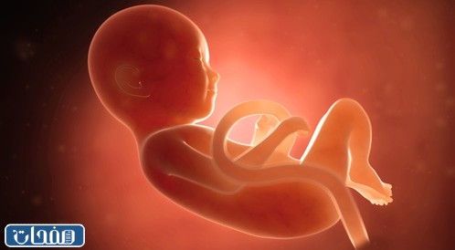 تجارب الحوامل مع زيادة ماء الجنين في الشهر السادس