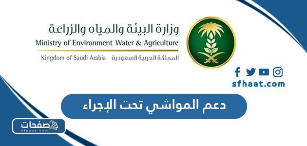 دعم المواشي تحت الاجراء