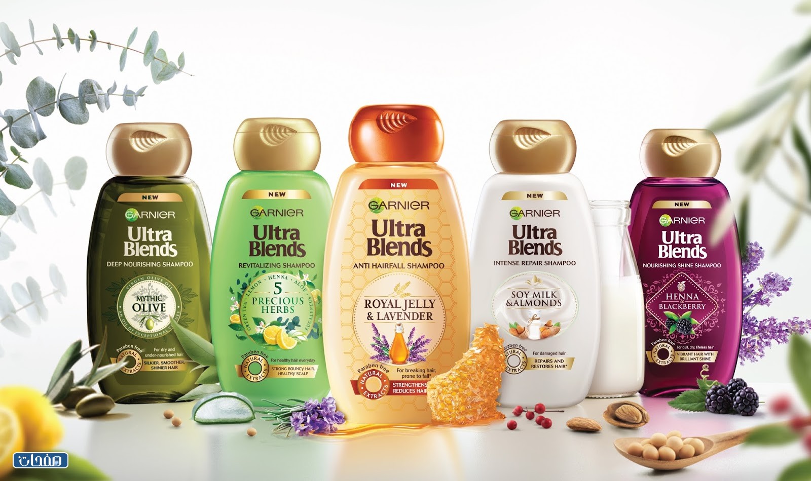 شامبو غارنيه